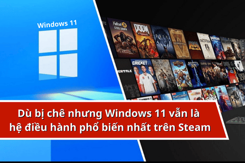 Thời điểm hiện tại Windows 11 vẫn là hệ điều hành phổ biến nhất trên Steam